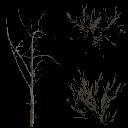AET801_060_a_l.jpg