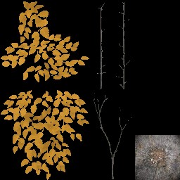 AET801_095_a_l.jpg