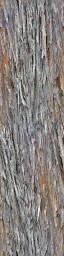 AET801_700_a_l.jpg