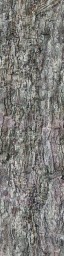 AET805_500_a_l.jpg