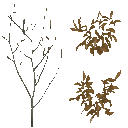 AET811_020_a_l.png