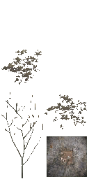 AET811_030_a_l.png