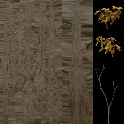 AET811_070_a_l.jpg
