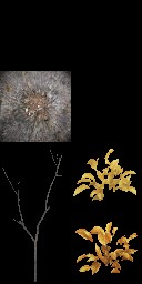 AET811_080_a_l.jpg