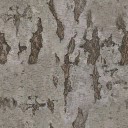 AET811_540_a_l.jpg