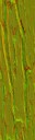 AET813_540_n_l.jpg