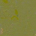 AET830_005_n_l.jpg