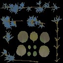 AET995_035_a_l.jpg