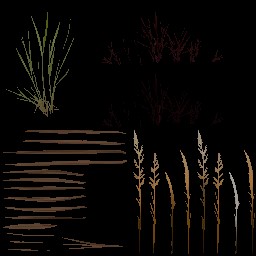 AET995_080_a_l.jpg