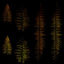 AET995_218_em_l.jpg