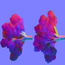 AET999_600_N_l.jpg