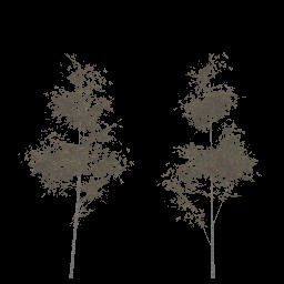 AET999_994_a_l.jpg