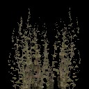 aet005_031_a_l.jpg