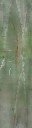 aet005_061_a_l.jpg