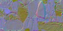 aet005_063_n_l.jpg