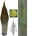 aet005_064_a_l.png