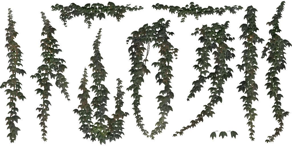AET002_006_a.png