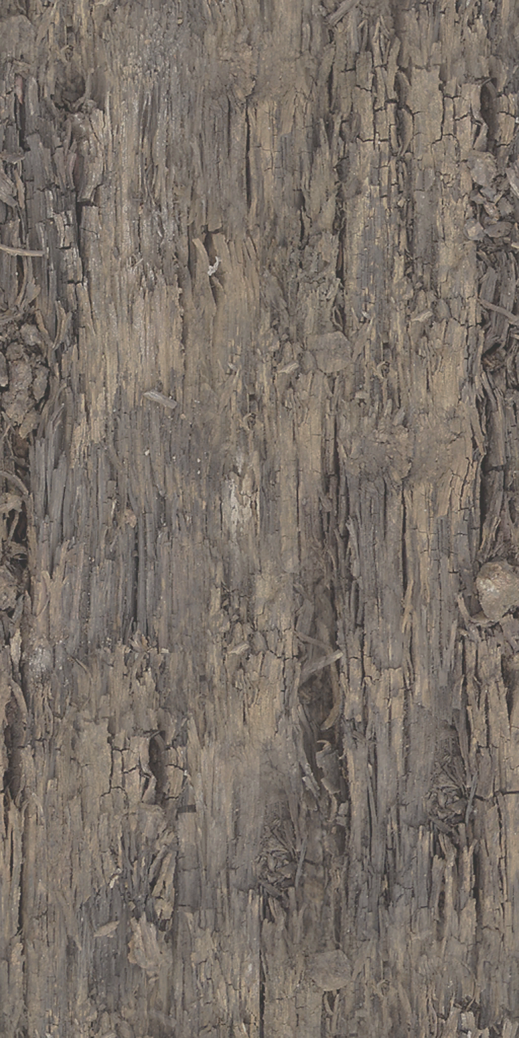 AET002_555_a.png