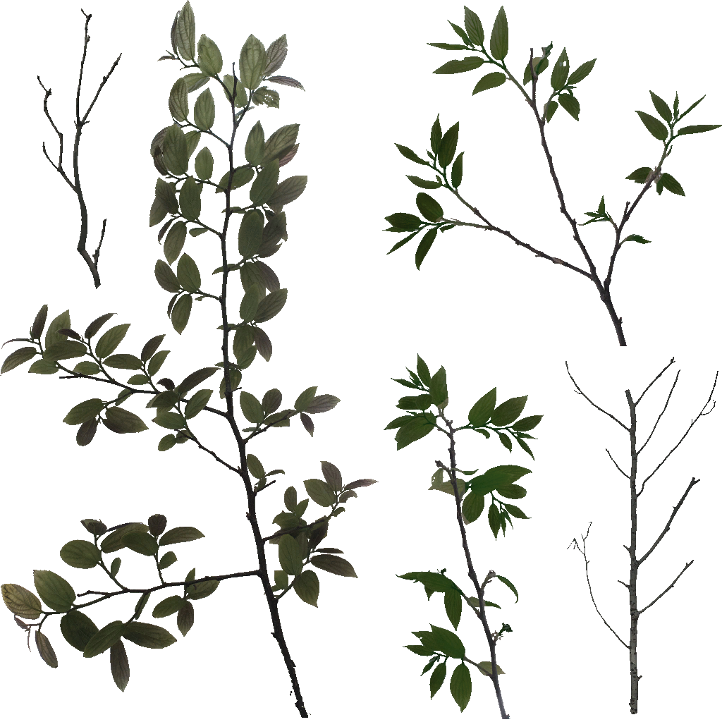 AET003_068_a.png