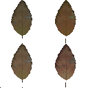 AET003_229_a.png
