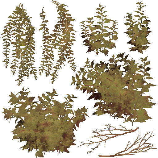 AET003_233_a.png