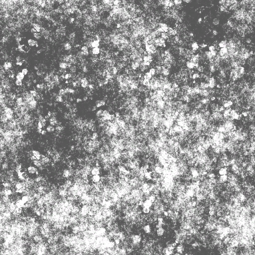 AET003_278_a.png