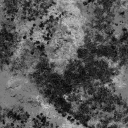 AET003_397_m.png