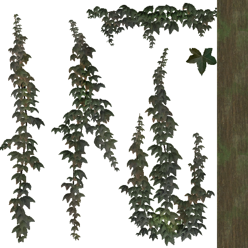 AET003_519_a.png