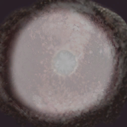 AET003_761_a.png