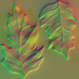 AET003_893_n.png