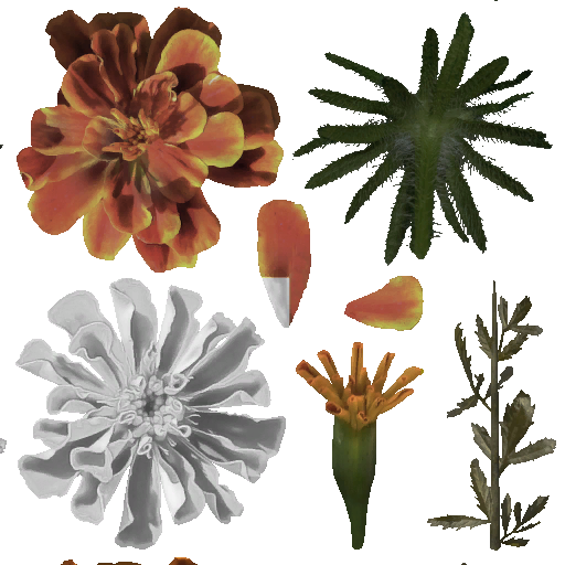 AET005_007_a.png