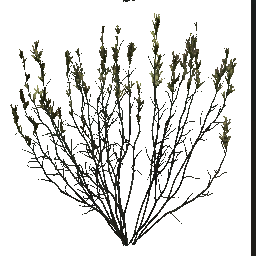 AET005_017_a.png
