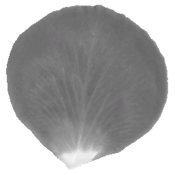 AET005_039_a.png