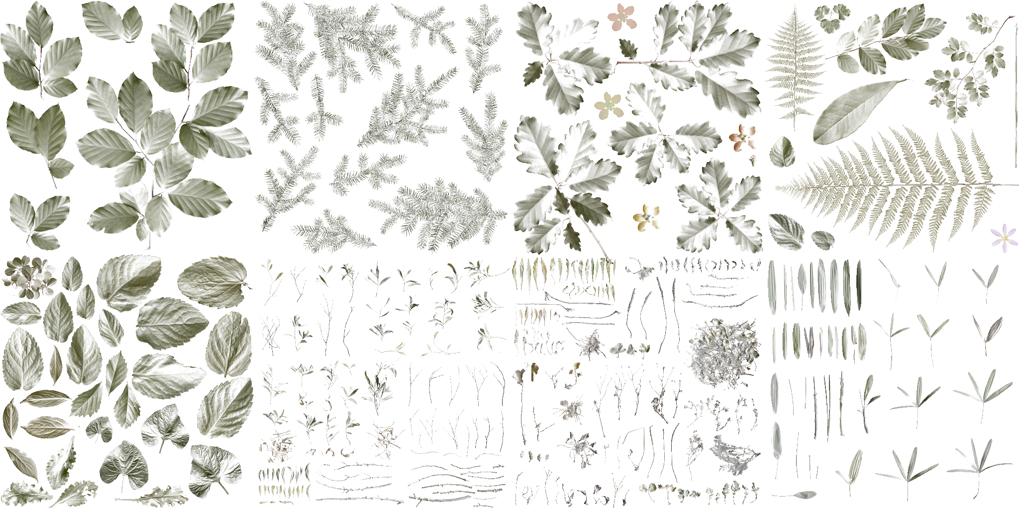 AET005_047_a.png
