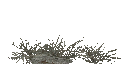 AET005_067_a.png