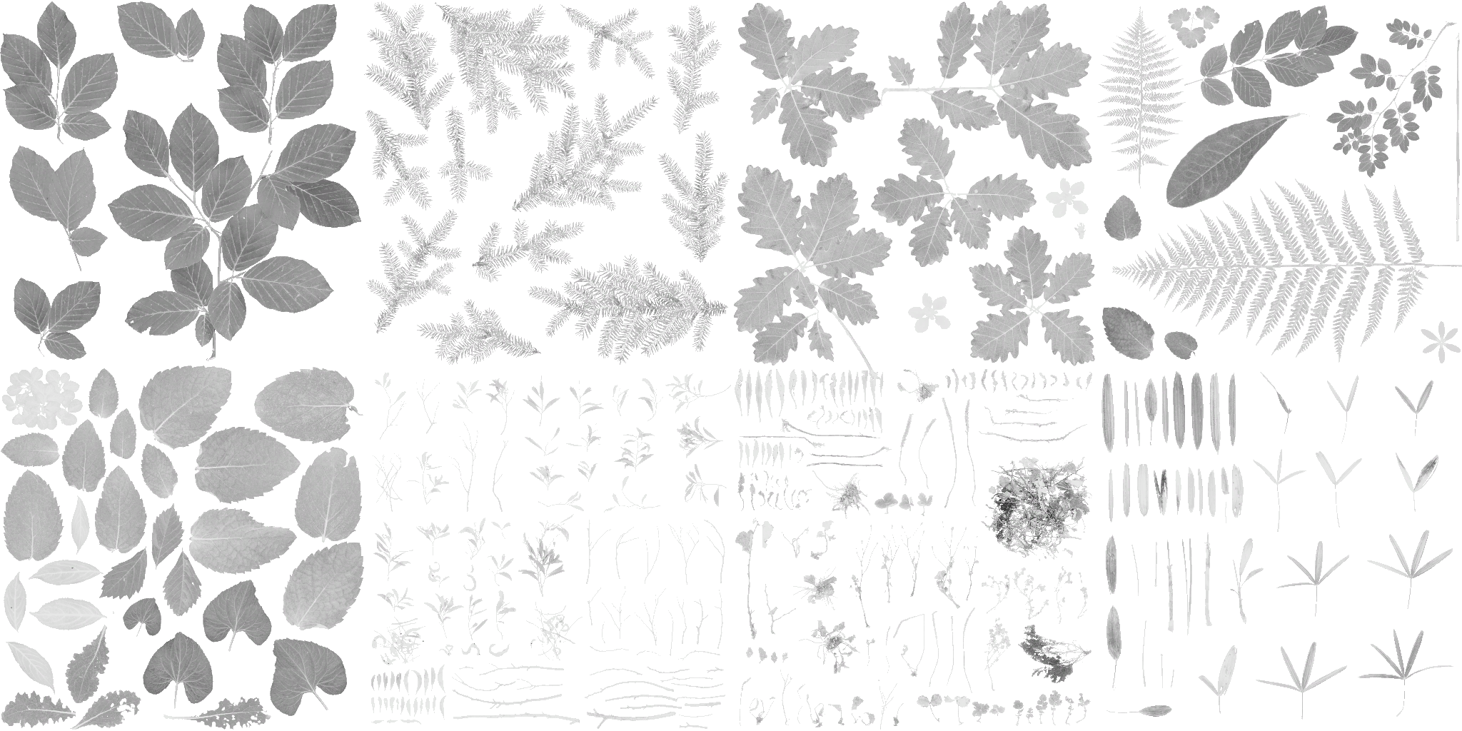 AET005_079_a.png