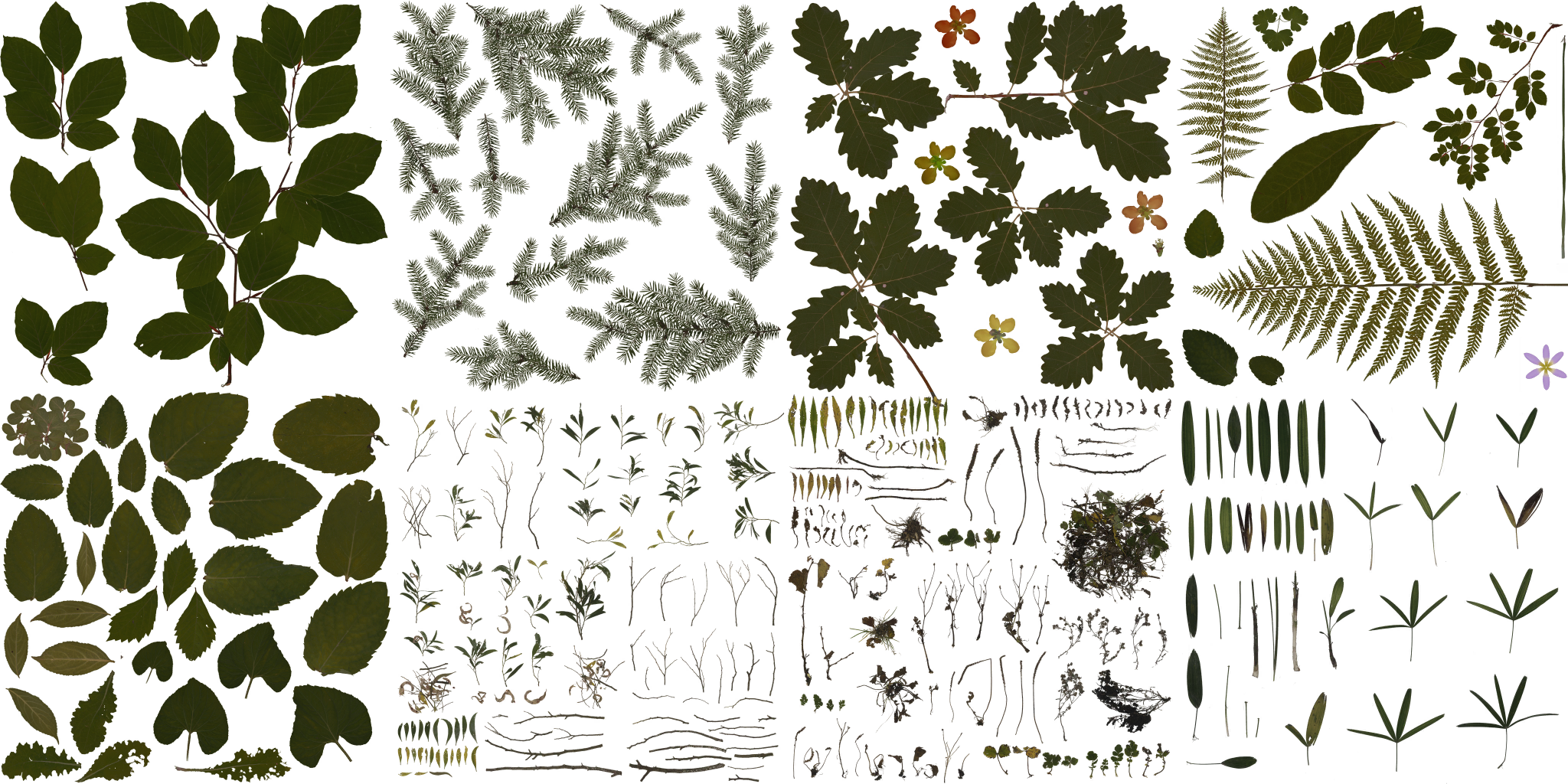 AET005_080_a.png