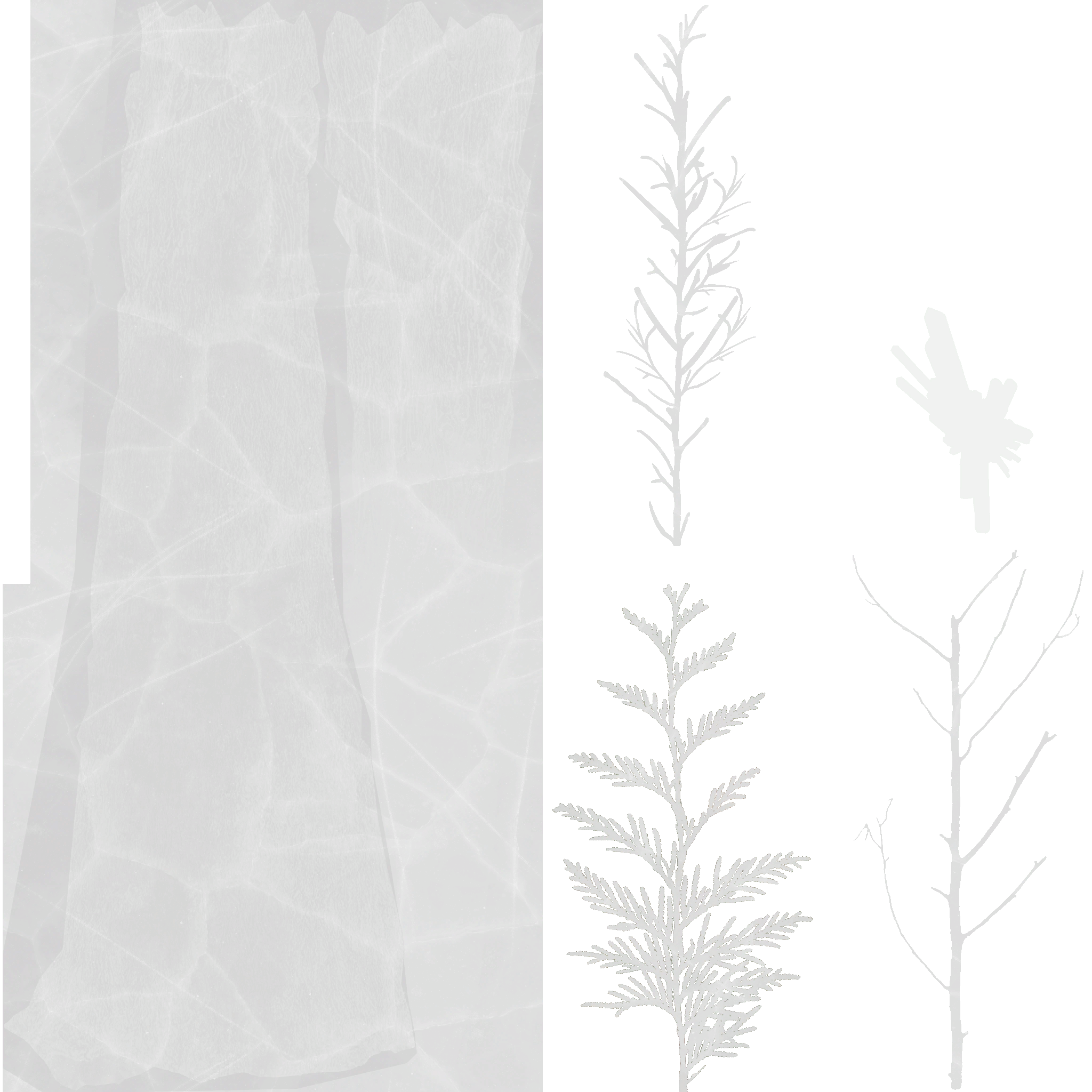 AET005_110_a.png