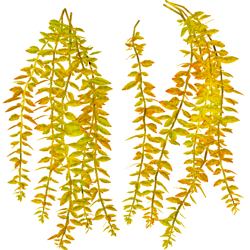 AET005_113_a.png