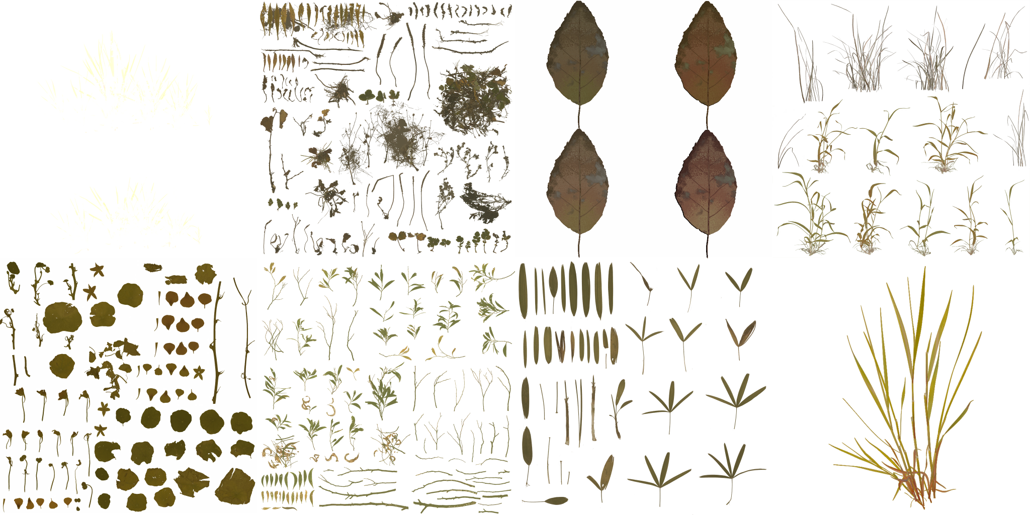 AET005_117_a.png