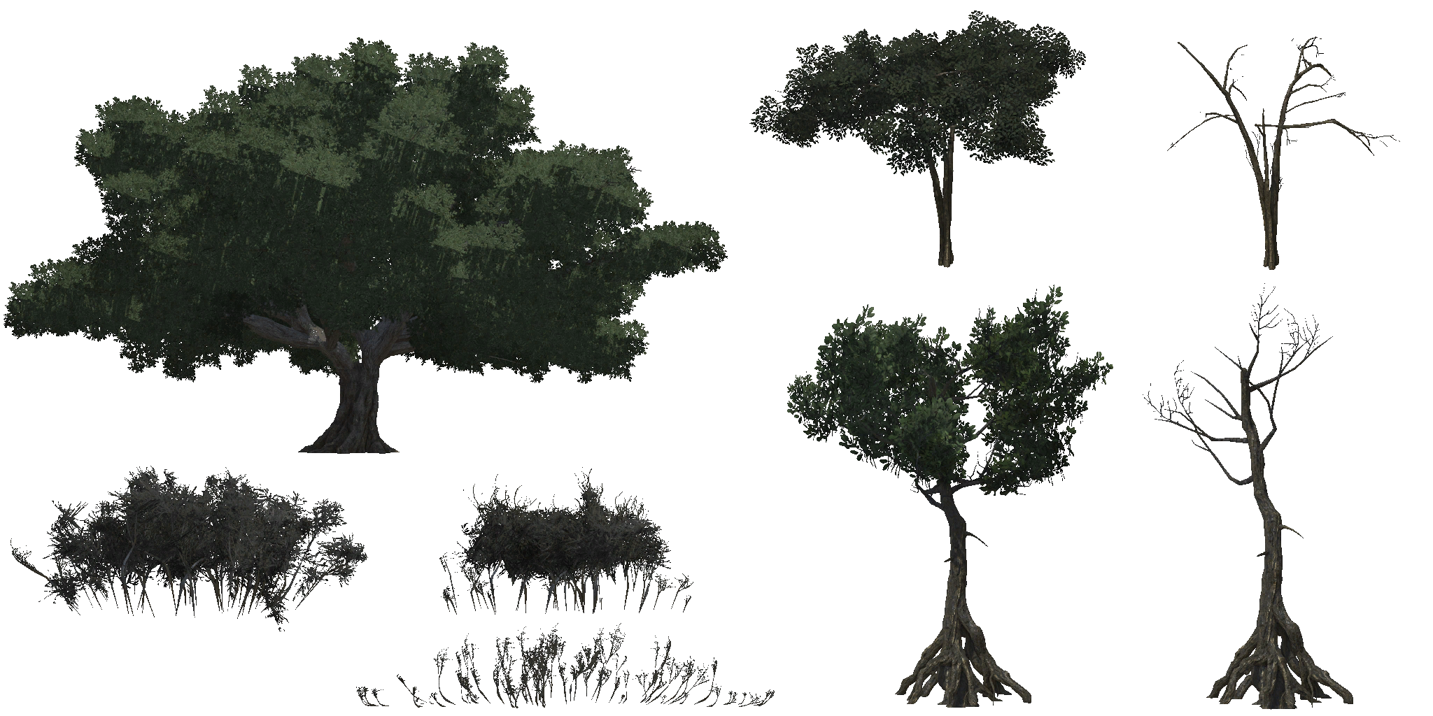 AET005_202_a.png