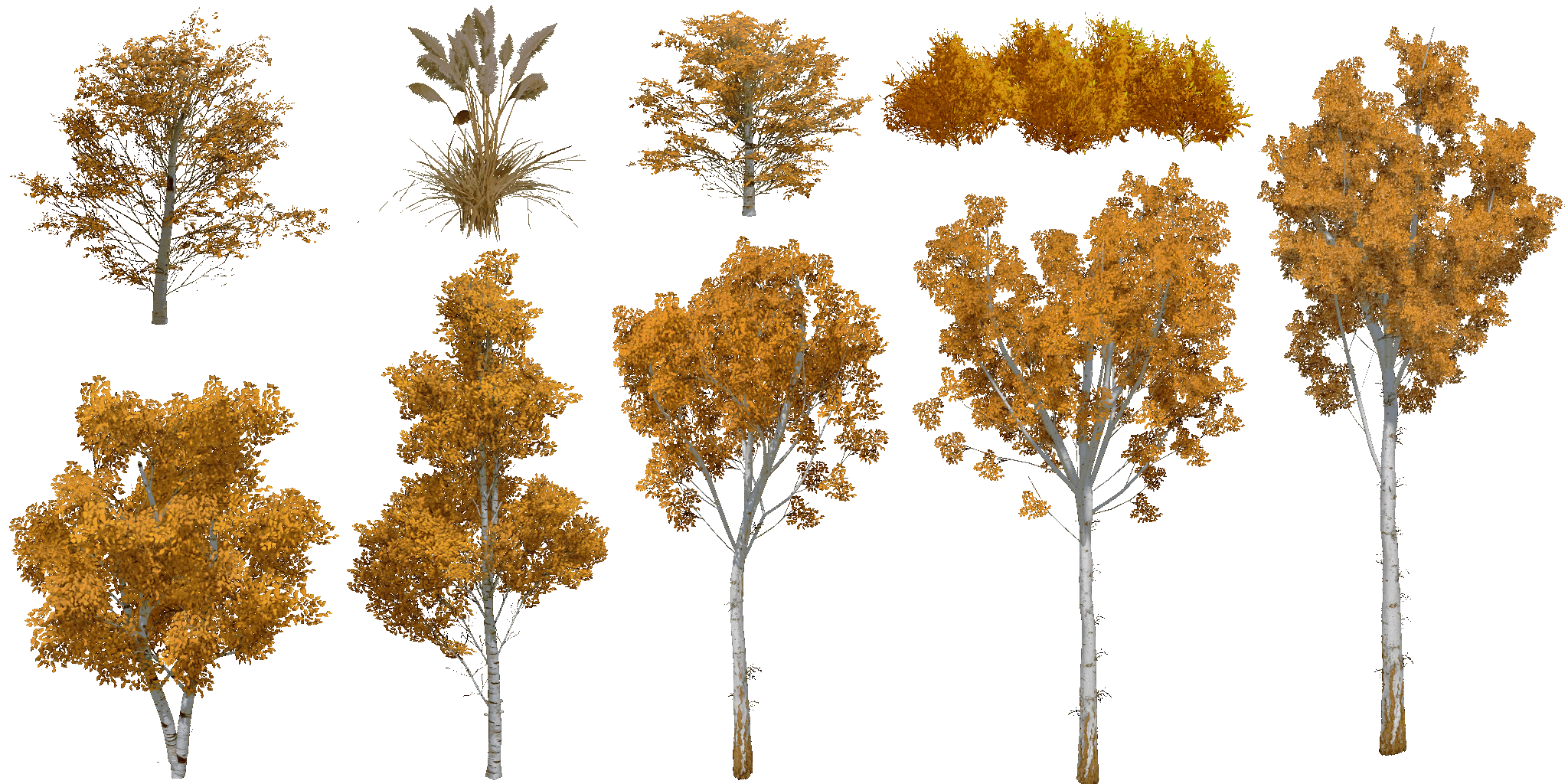 AET005_203_a.png