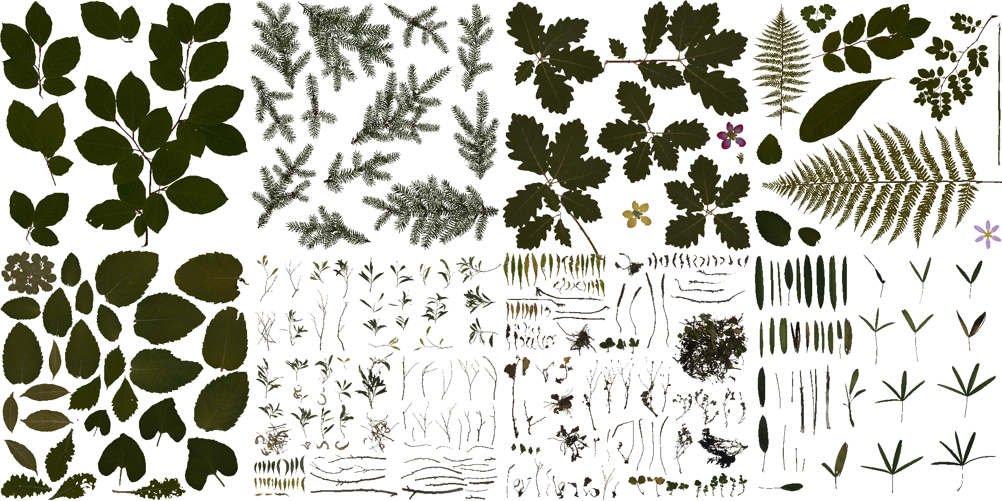 AET005_508_a.png