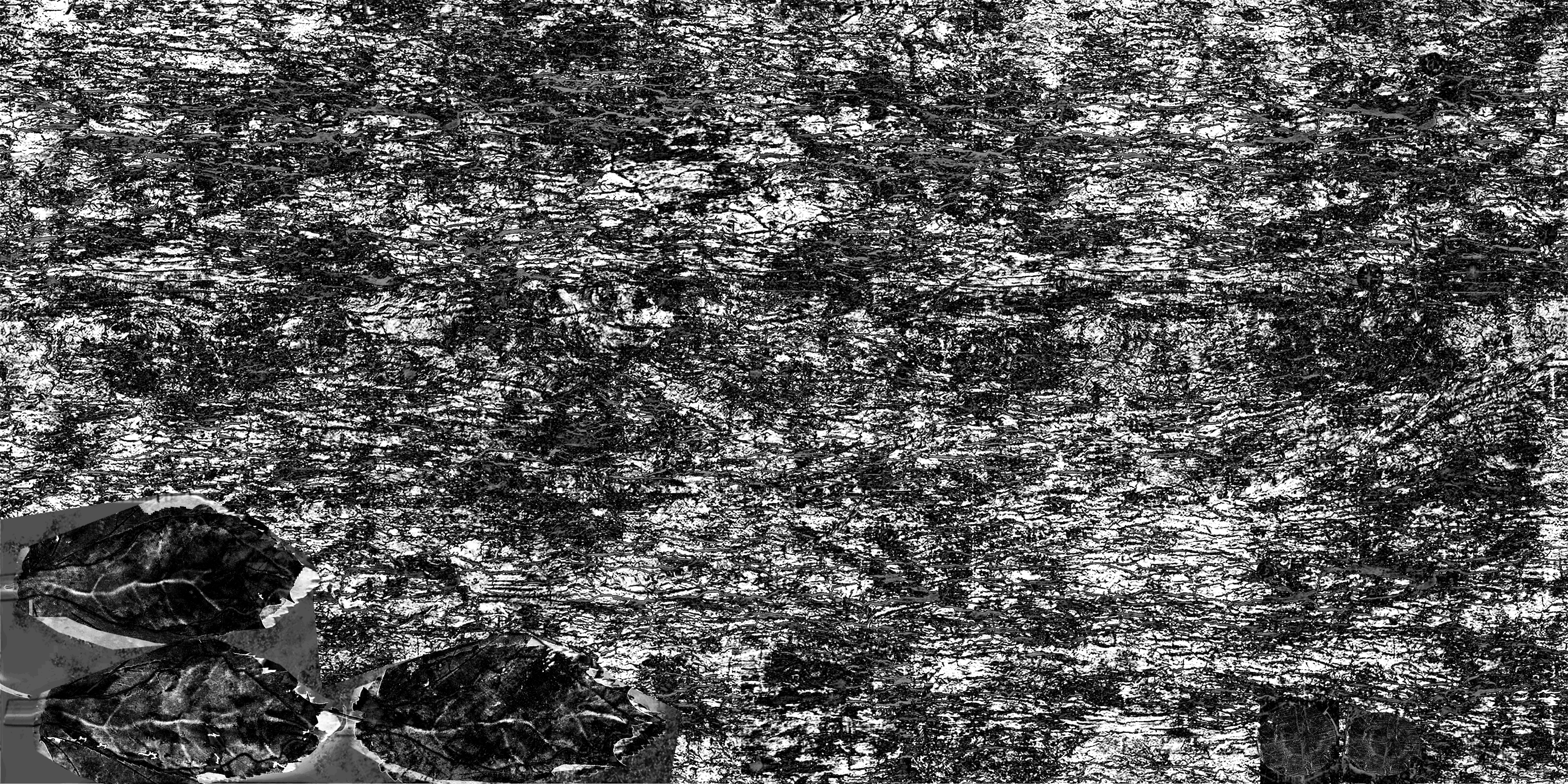 AET005_511_1m.png