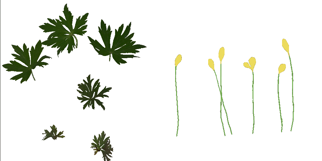 AET005_518_a.png
