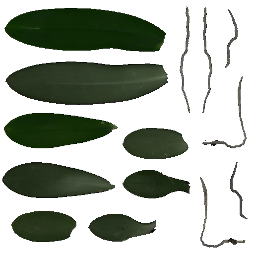 AET005_519_a.png