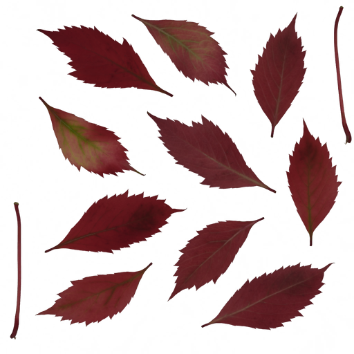 AET007_078_a.png