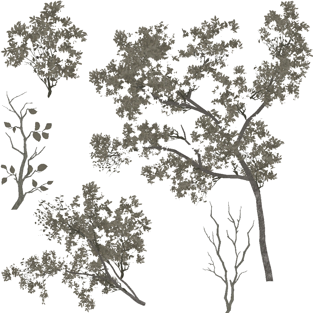 AET007_092_a.png