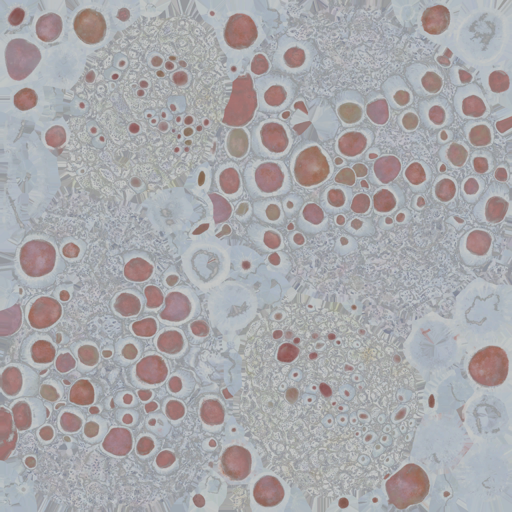 AET007_206_a.png