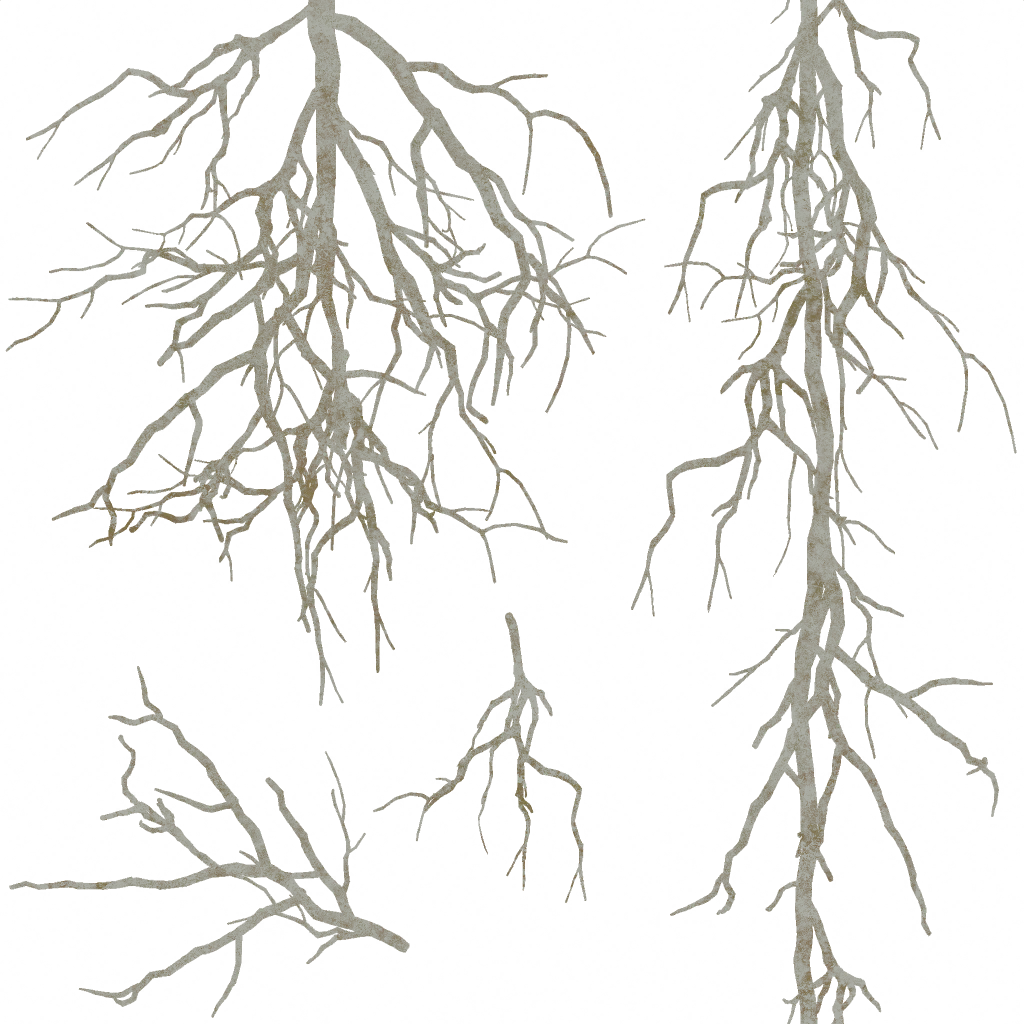 AET007_211_a.png